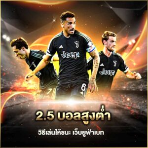 2.5 บอลสูงต่ำ