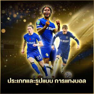 ประเภทและรูปแบบ