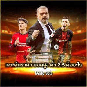เจาะลึกราคา บอลสูง ต่ำ 2.5 คืออะไร